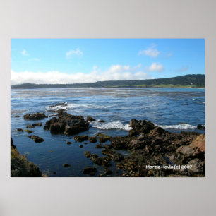 Pacific Grove op de rotsen Poster