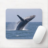 Pacific Humpback Whale... Muismat (Met muis)