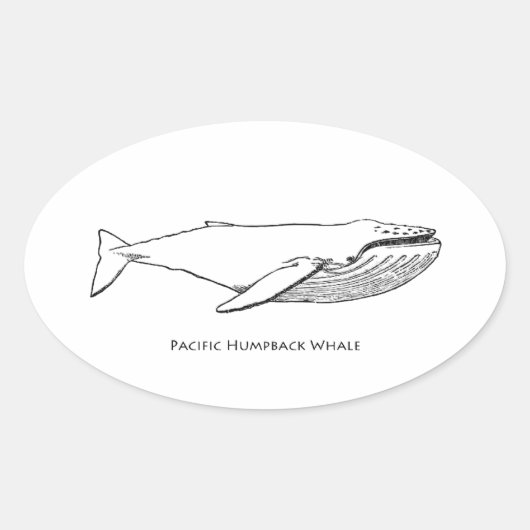 Pacific Humpback Whale Ovale Sticker (Voorkant)