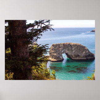 Pacific North West Oceaangezicht Poster