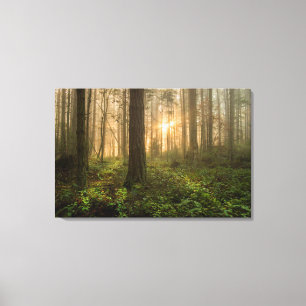 Pacific Northwest Forest   Foggy Morning Canvas Afdruk