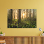 Pacific Northwest Forest | Foggy Morning Canvas Afdruk (Insitu (Woonkamer))