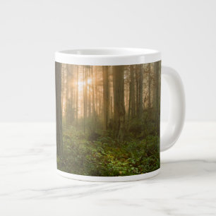 Pacific Northwest Forest   Foggy Morning Extra Grote Beker