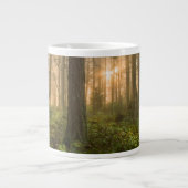 Pacific Northwest Forest | Foggy Morning Extra Grote Beker (Voorkant)