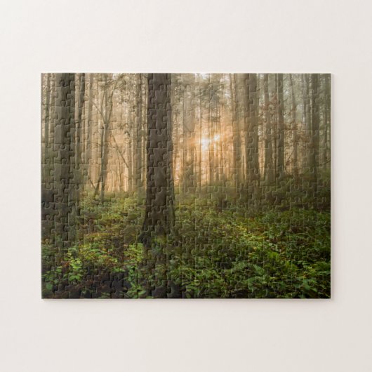 Pacific Northwest Forest | Foggy Morning Legpuzzel (Horizontaal)