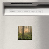 Pacific Northwest Forest | Foggy Morning Magneet (Insitu (Vaatwasser))