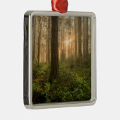 Pacific Northwest Forest | Foggy Morning Metalen Ornament (Rechts)