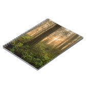 Pacific Northwest Forest | Foggy Morning Notitieboek (Linkerzijde)
