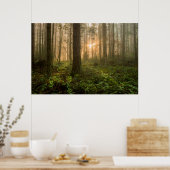 Pacific Northwest Forest | Foggy Morning Poster (Keuken)