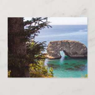 Pacific Northwest Landscape Briefkaart