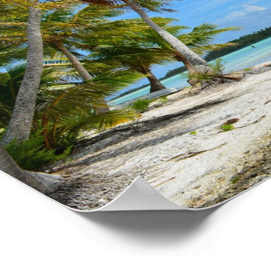 Pacific palm beach poster (Coin)