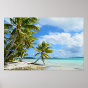 Pacific palmstrandposter poster