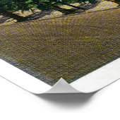 Pacific Park in Long Beach, Californië Poster (Hoek)