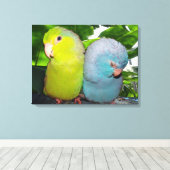 Pacific Parrotlets Amazon Oerwoud verpakt Canvas (Insitu (Houten vloer))