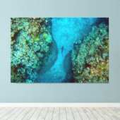PACIFIC REEF HAAI 40x60 Canvas Afdruk (Insitu (Houten vloer))