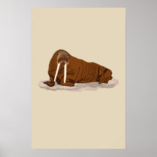 Pacific Walrus Poster