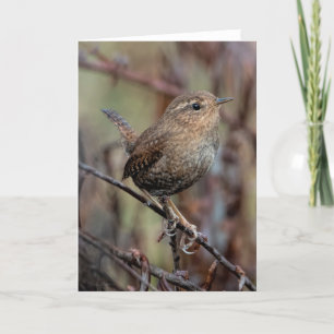 Pacific Wren - Hartelijk dank Bedankkaart