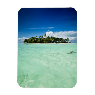 Pacifisch eiland met verticale palmmagneet magneet
