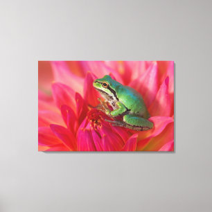 Pacifische boomkikker op bloemen in onze tuin, 2 canvas afdruk