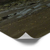 Pacifische kustlijn in het nationaal park Redwood Poster (Hoek)