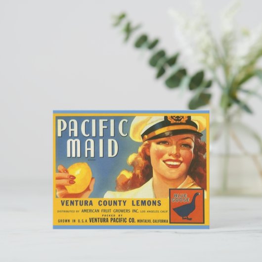 Pacifische Maïde Lemons Sailor Gal Briefkaarten (Staand voorkant)