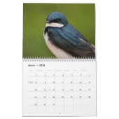 Pacifische noordwestelijke vogels kalender (Mar 2026)