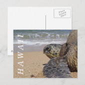 Pacifische Zee Kantschildpad Hawaii Briefkaart (Voorkant / Achterkant)