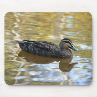Pacifische Zwarte Eend Zwemt in Gouden Water Muismat