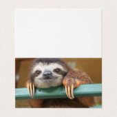 Pack 25 Cartes vides Sloth, à toute occasion (Outside Unfolded)