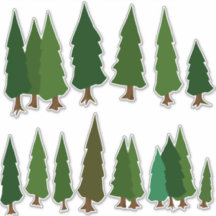 Pack autocollant à feuillage persistant Green Pine
