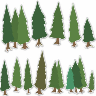 Pack autocollant à feuillage persistant Green Pine