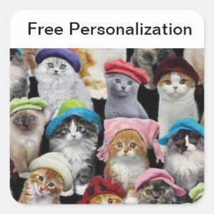 Pack Autocollant Amoureux de les chats