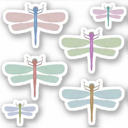 Pack autocollant dragonfly (Devant)