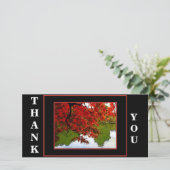 Pack carte de remerciements de 10 - Scène d'automn (Debout devant)