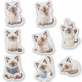 Pack de Stickers Gatito Tierno y Expresivo