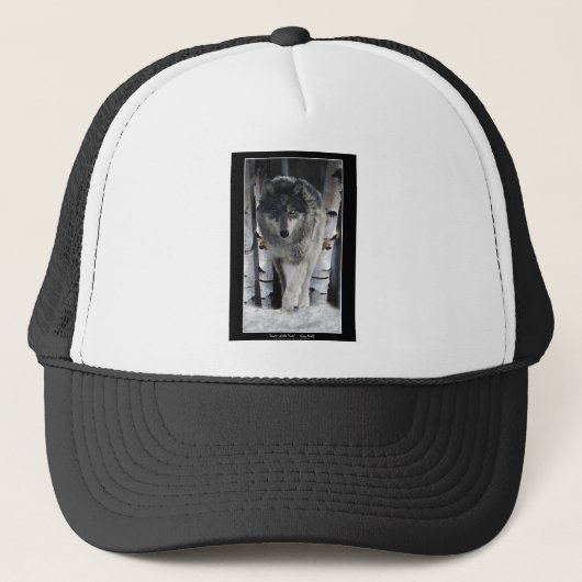 Pack gris Wolf Alpha Casquette d'art faunique (Devant)