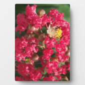Pack met Easel The Red Crepe Myrtle Bloom Fotoplaat (voorkant)