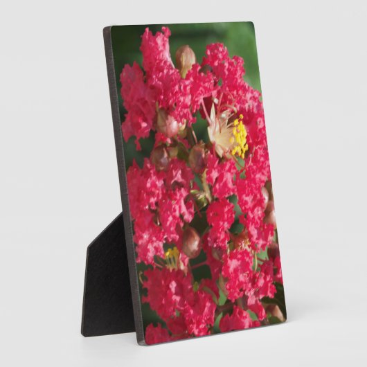 Pack met Easel The Red Crepe Myrtle Bloom Fotoplaat (Zijkant)