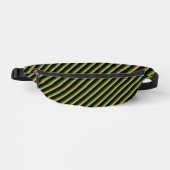 Pack multicouleurs Fanny Stripes (Recto)