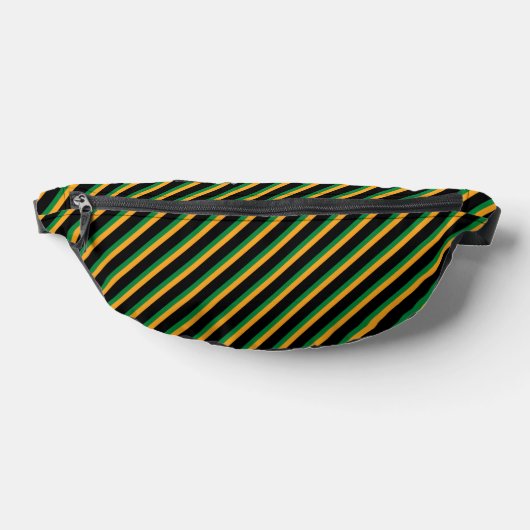 Pack multicouleurs Fanny Stripes (Poser)