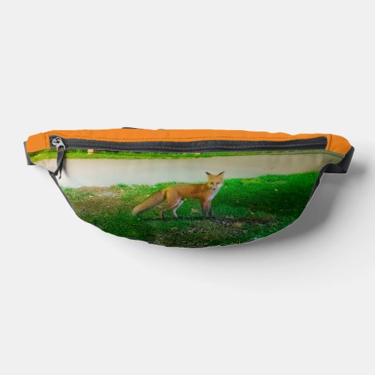 Pack Red Fox Fanny (Poser)