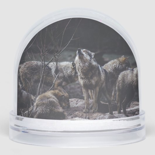 Pack Wolf (Avant)
