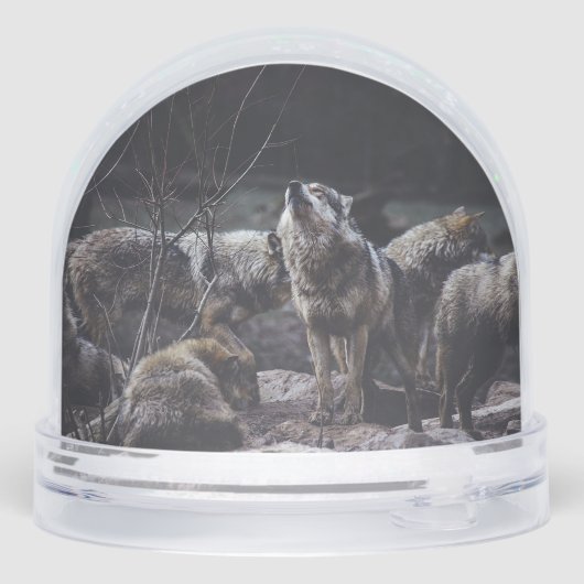 Pack Wolf (Arrière)