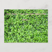 Packed with greenery briefkaart (Voorkant)