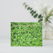 Packed with greenery briefkaart (Staand voorkant)