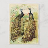  packs briefkaart (Voorkant)