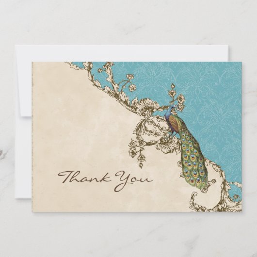  pacock & etchings Dank u Kaarten nota neemt van Notitiekaartje (Achterkant)