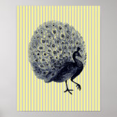  pacock op dunne strepen poster (Voorkant)