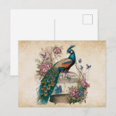  pacock over Victoriaans vogelkooi Briefkaart (Voorkant / Achterkant)