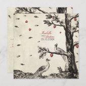 pacocks in de liefde - bruiloft kaart (Voorkant / Achterkant)